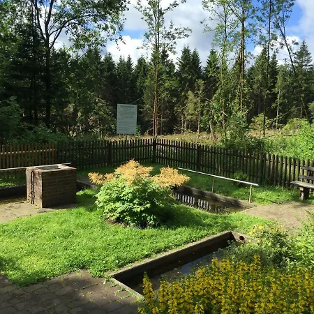 Hahnenklee 136