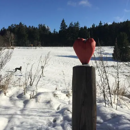 Hahnenklee 136
