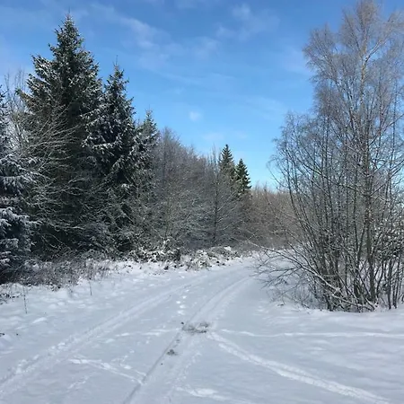 Hahnenklee 136 * Γκόσλαρ