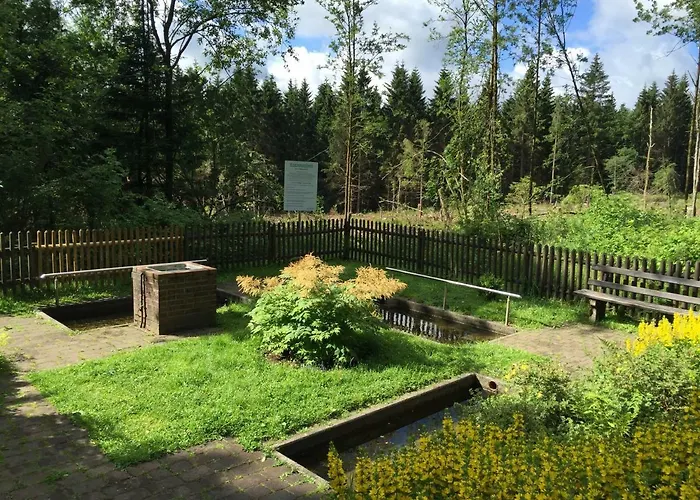 Hahnenklee 136