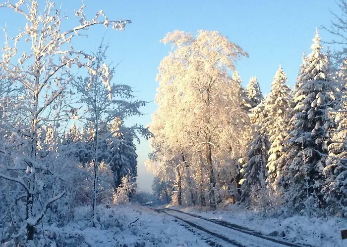 Hahnenklee 136 Appartement Goslar