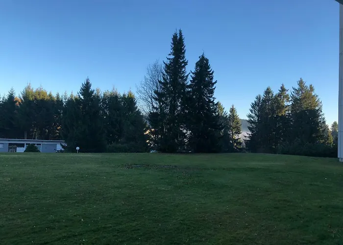 Appartement Hahnenklee 136 *